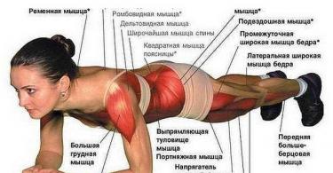 Какие мышцы работают при упражнении планка